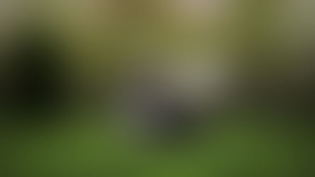 Marijuana Is Most Prevalent Drug In Military Drug Tests, Delta-8 Second