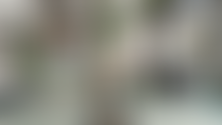 Cannabis Restaurant To Open in Hollywood