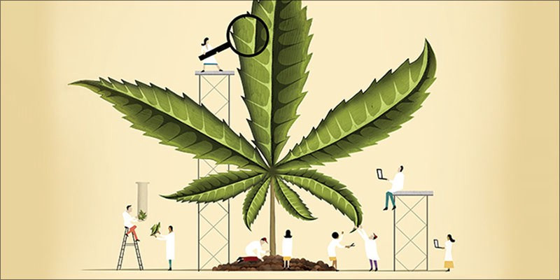 CBD Cancer