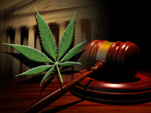Federal Judge Declines to Reclassify Marijuana