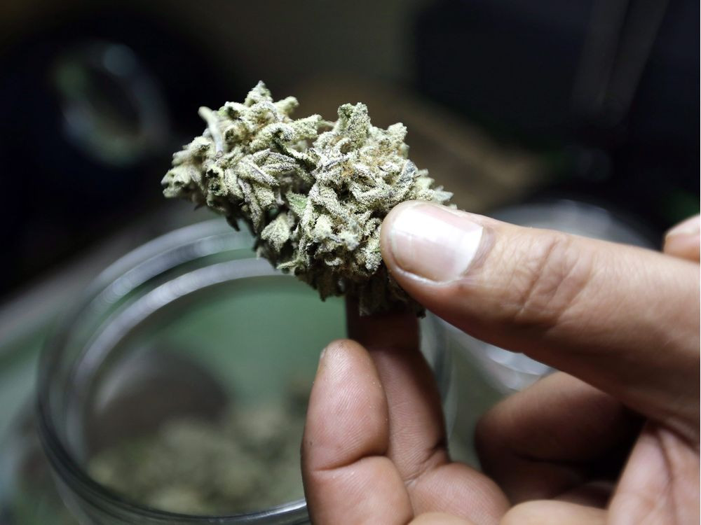 Vancouver Pharma Cannabis Startup