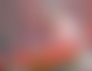 Faith No More | Alsterdorfer Sporthalle, Germany - June 23rd 2015