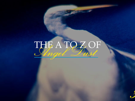The A to Z of Angel Dust