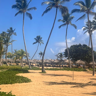 A look across the beach and sands at Secrets Tides