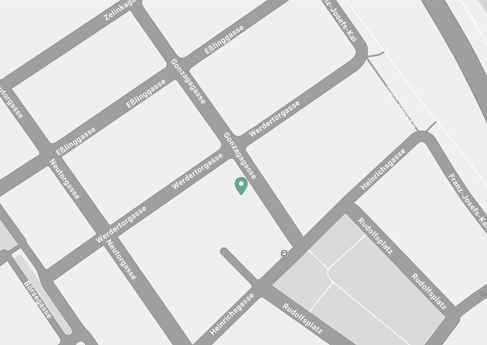 Gonzagagasse11 (1).jpg