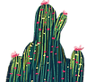 catusito2_edited.png
