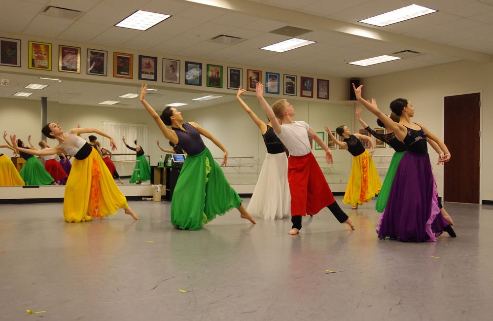 Under the Canopy A Flock of Creativity