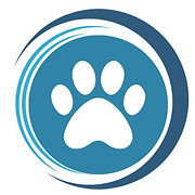 Animal Hospital of Tampa Bay