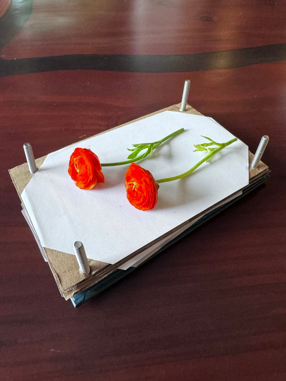 Flower Press