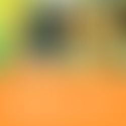 【にっこり】オンラインショップの受付を再開しました