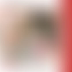 恵方巻、ご予約受付開始