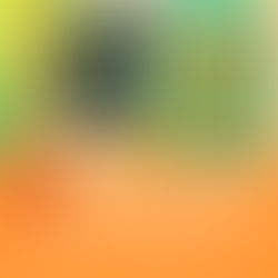 直売所OPENしました!