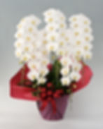 TKA_0103_02