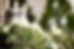 无为道堂 slider 1.jpg