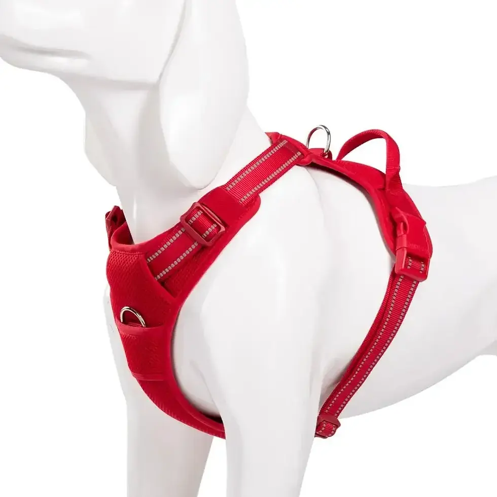 Thumbnail: ProControl Reflective No-Pull Dog Harness