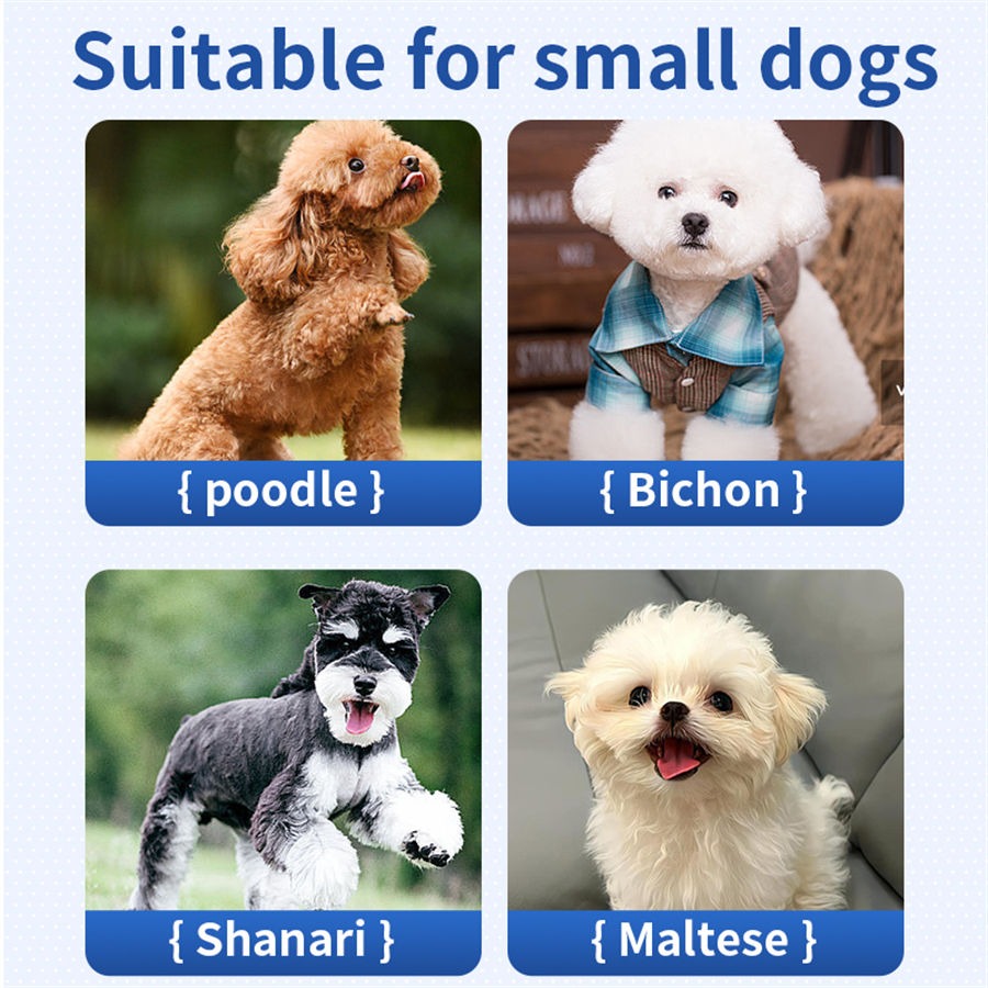 Thumbnail: GravityBounce Smart Interactive Pet Ball