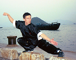 taichi_style2.jpg