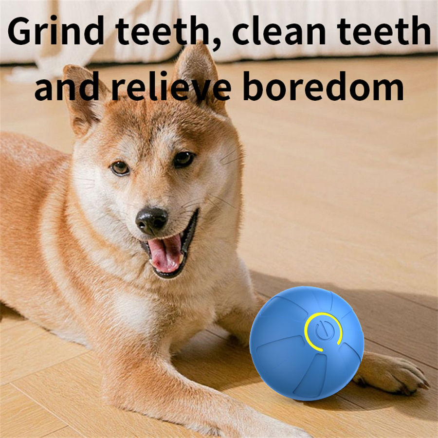 Thumbnail: GravityBounce Smart Interactive Pet Ball