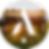 Stylized A logo over cows in a sunny field