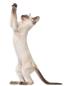 截圖 2025-10-25 16.58.39.png