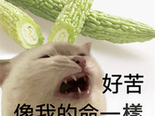 【經驗談】研究所在職碩士學費多少？日間碩士＆在職碩士，讀哪個好？上課內容有差別嗎？非本科適合讀嗎？