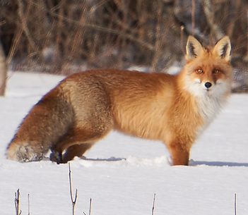 截圖 2025-10-25 11.08.51.png