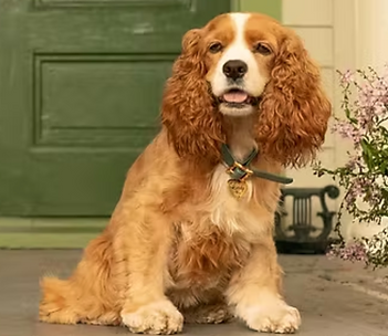 截圖 2025-10-25 02.41.21.png