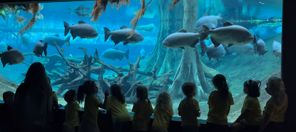 Captura de pantalla 2026-04-09 a las 16.04.54.png