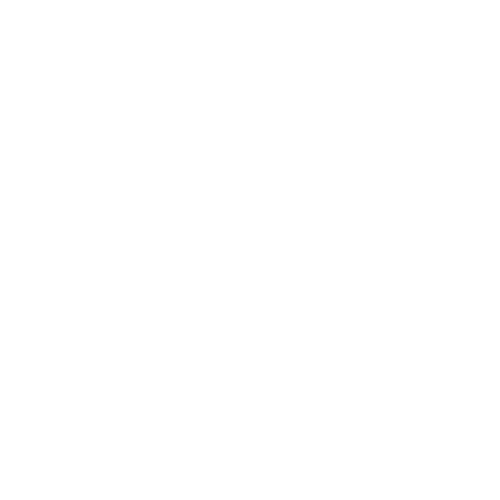 Performance Issues.png