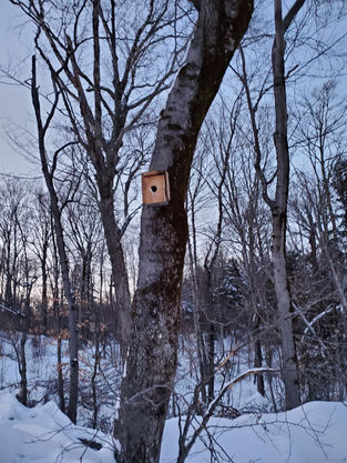 History in Miniature