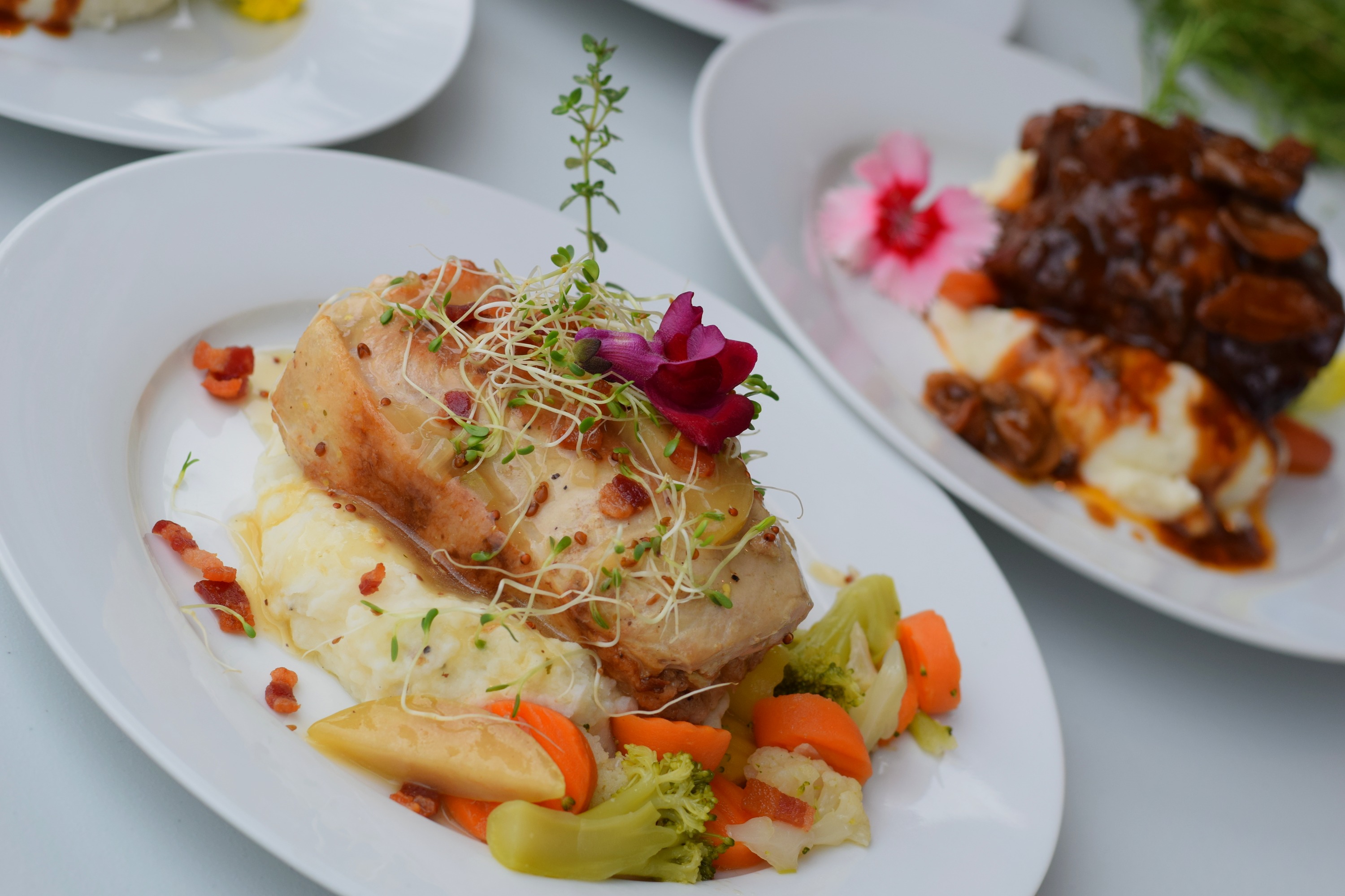 Arranged Food and Objects