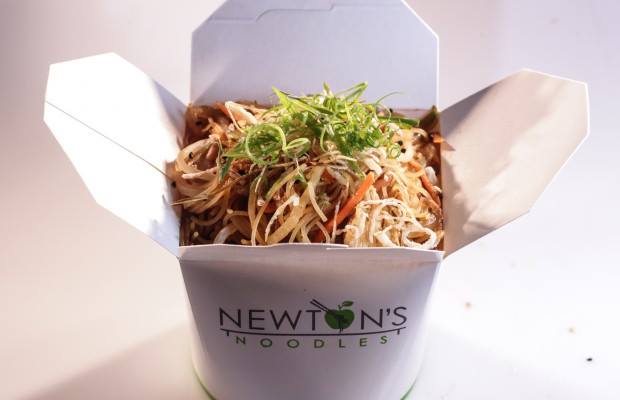 Newton's Noodles Fuzu