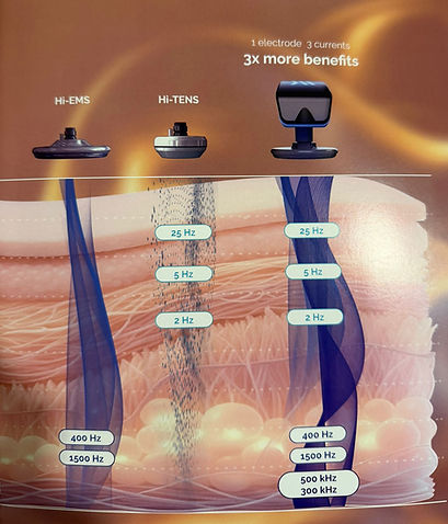 WhatsApp Image 2026-04-21 at 12.31_edited.jpg