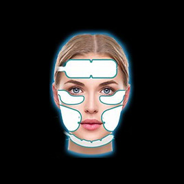 manual pic ems rf face.jpg