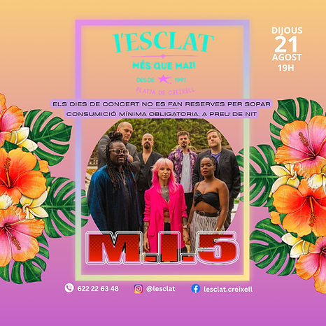 Copia de XIRI L'ESCLAT presenta (Post de Instagram).zip - samarretes (9).png