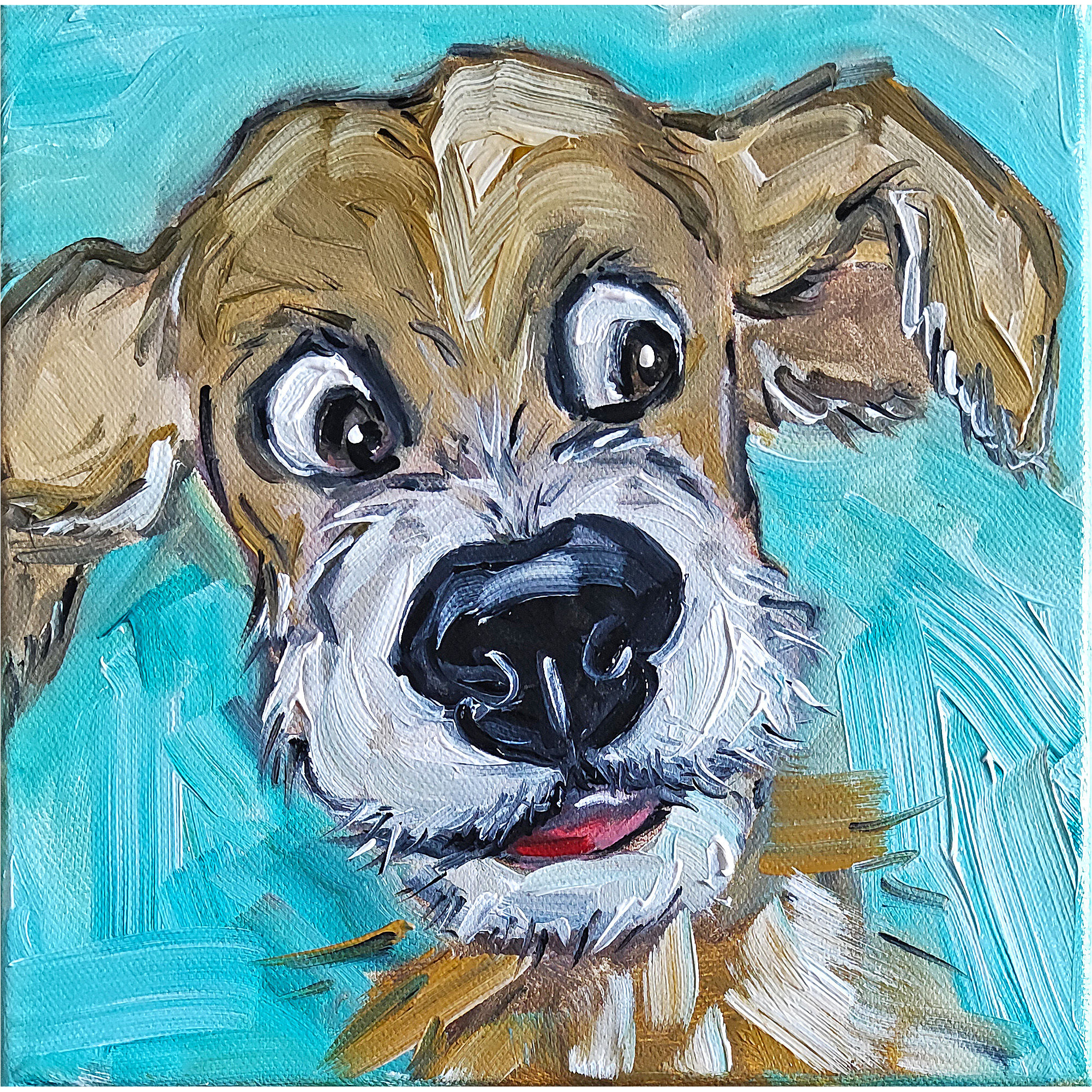 Lustiger Hund Welpe Benny