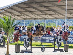 Record-high prize money