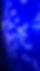 20250126_115643.jpg