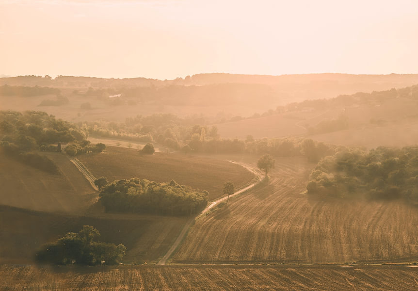 About Gascony Tweak.jpg
