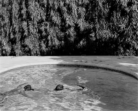 Entre le document et la fiction