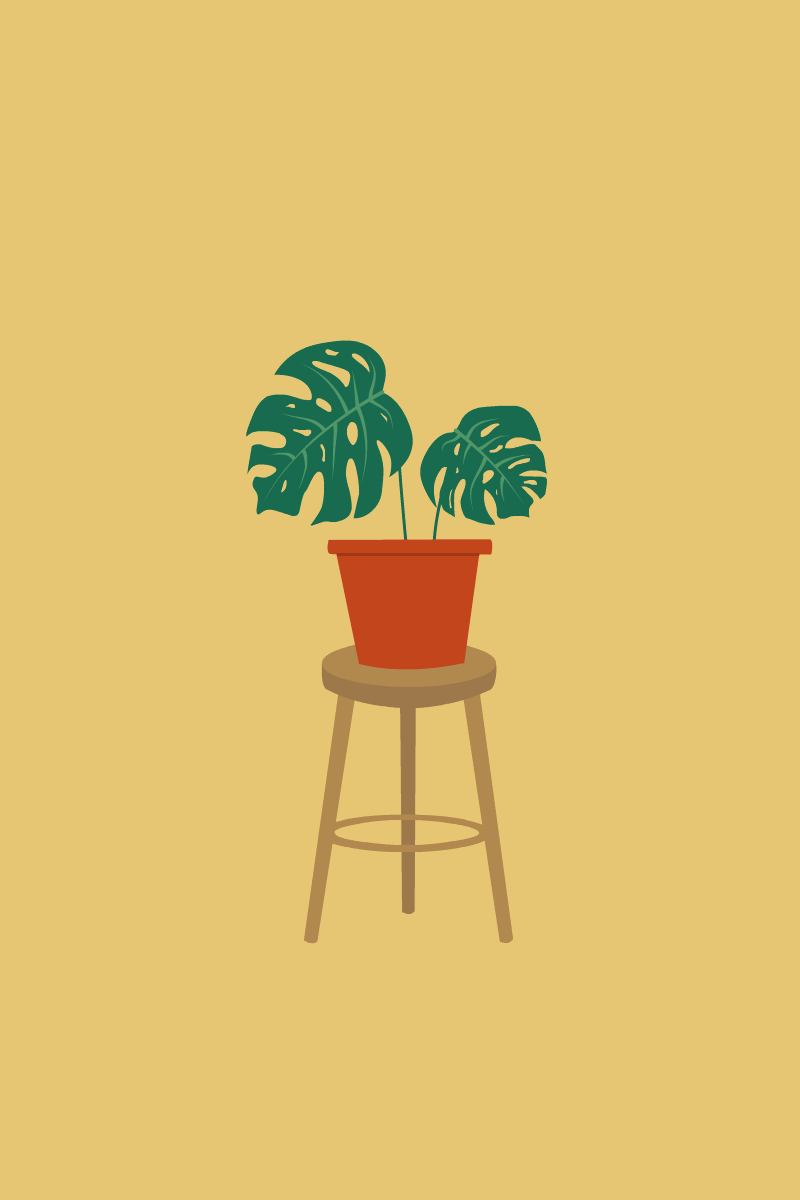 house-plannt-animate.gif
