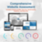 Comprehensive Website Assessment