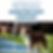 Pet Services Marketing Audit Checklist