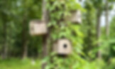 WhatsApp Image 2025-08-31 at 17.42.16_2485a706.jpg