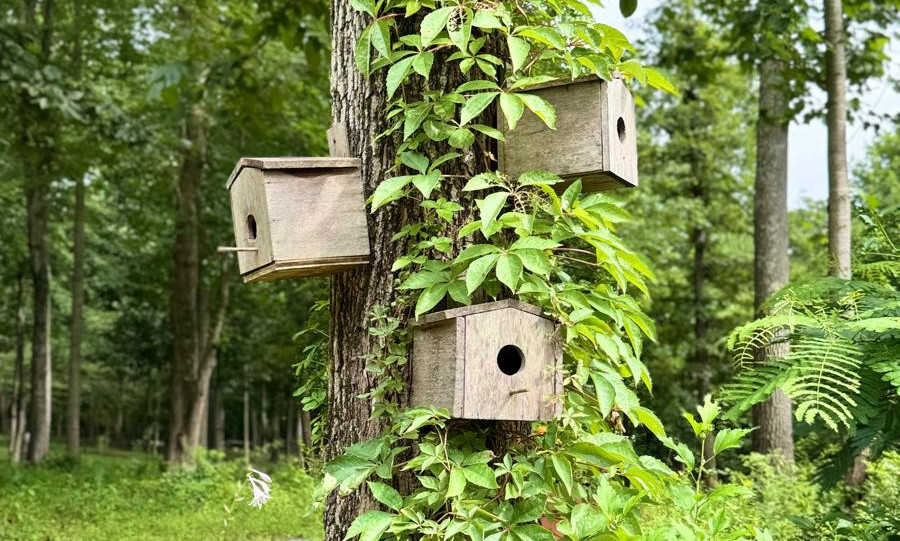 WhatsApp Image 2025-08-31 at 17.42.16_2485a706.jpg