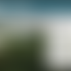 Bay Soundings: Tampa Bay's Premiere Source for Environmental Science and News