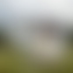 Let Property Campaign (rental income)