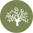 tree.png
