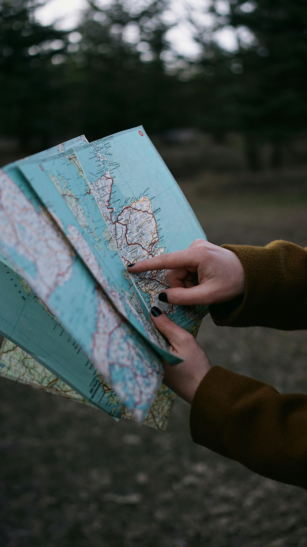 adventure-therapy-options-for-minnesota-residents.avif