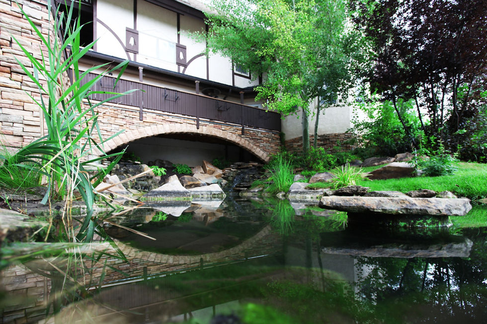 What to Expect When Entering a Mental Health Treatment Program